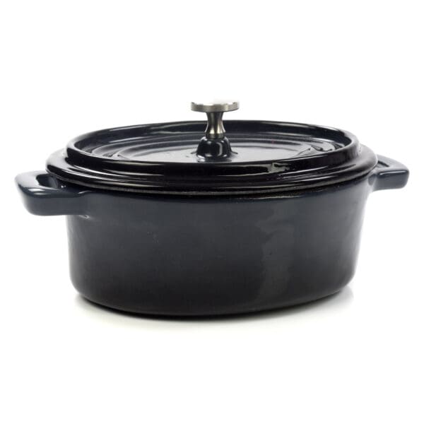 Fonda Grey Enameled Cast Iron Cocotte