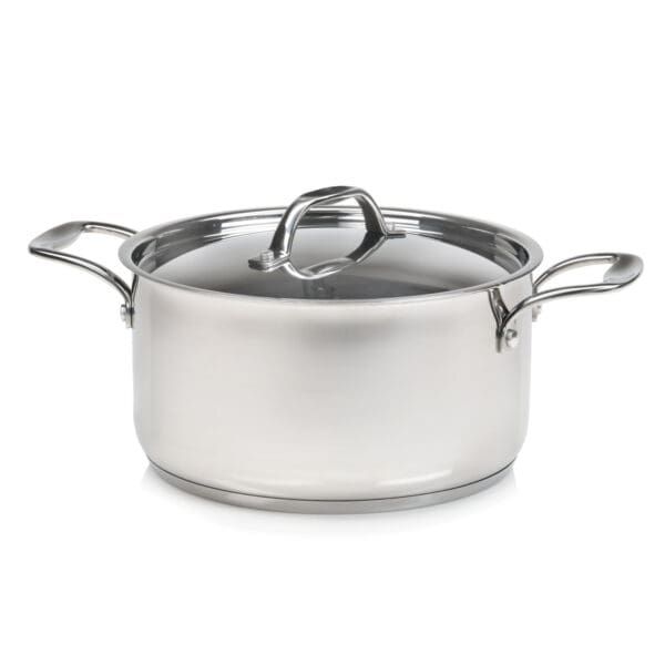 Terra Induction Ready Stainless Steel 3 Quart Pot with Lid