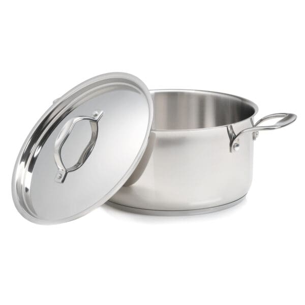 Terra Induction Ready Stainless Steel 6 Qt Pot with Lid