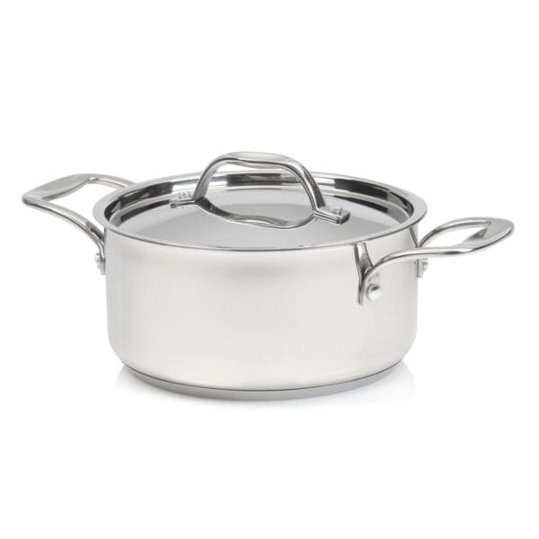 Terra Induction Ready Stainless Steel 6 Qt Pot with Lid - Image 3