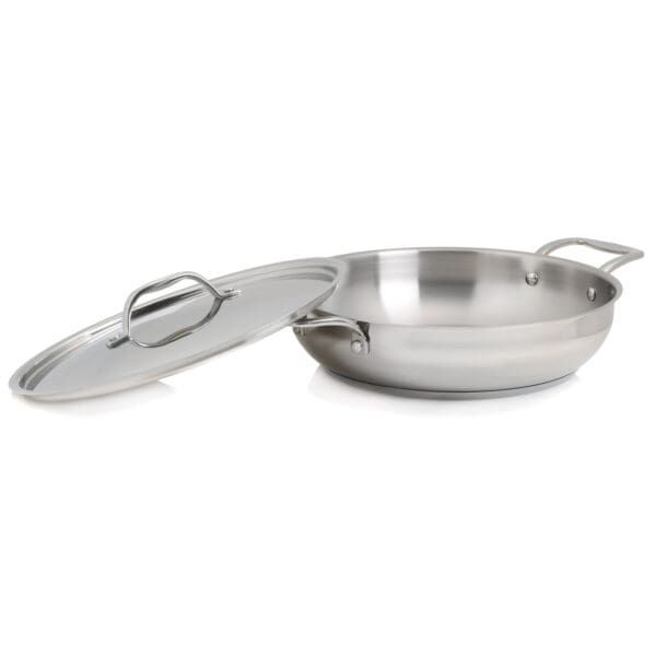 Terra Induction Ready Stainless Steel 4 Quart Pot with Lid