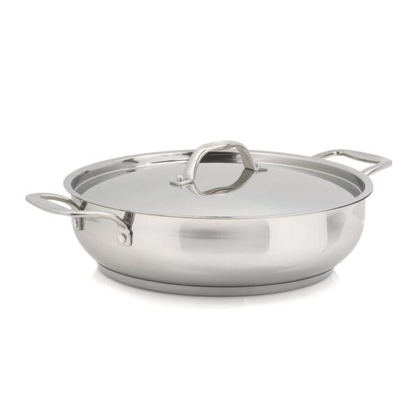 Terra Induction Ready Stainless Steel 6 Quart Pot with Lid