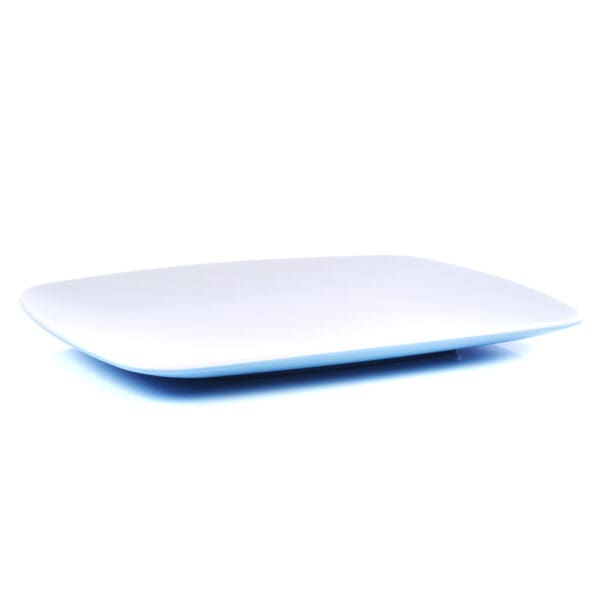 Nevis Sky Blue Round Melamine 11in Plate - Image 3